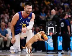 爱游戏官方入口- 芝加哥公牛最新消息 